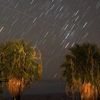 Where To Watch The Meteor Shower Tonight